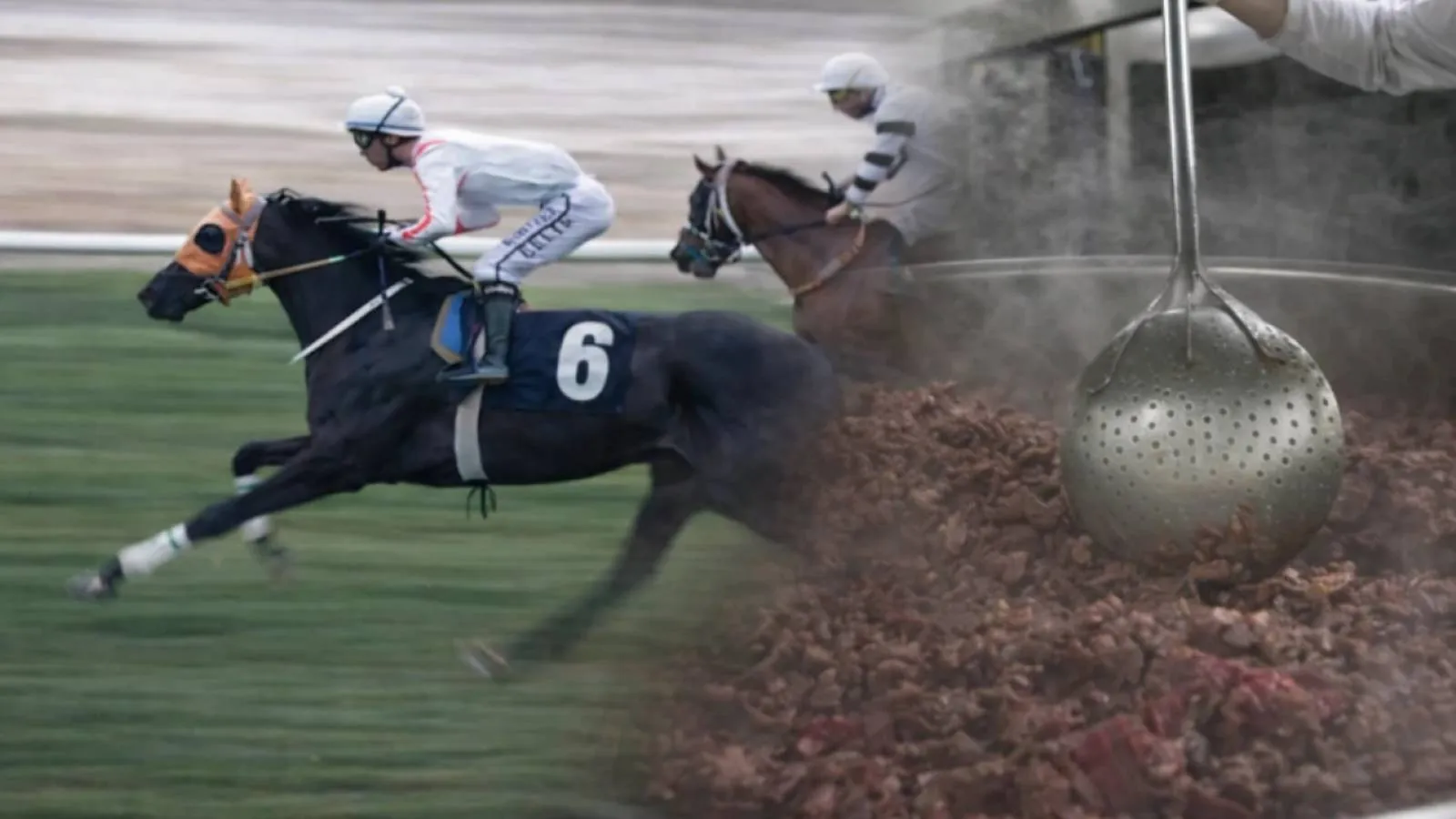 Mersin aşevinde skandal: Şampiyon yarış atı kavurma oldu